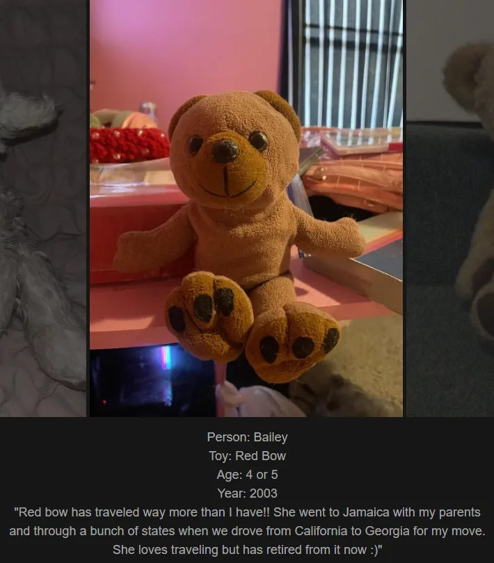 A brown plush teddy bear sits on a pink shelf, its paws visible in the foreground. Overlaid text identifies the bear as 'Red…