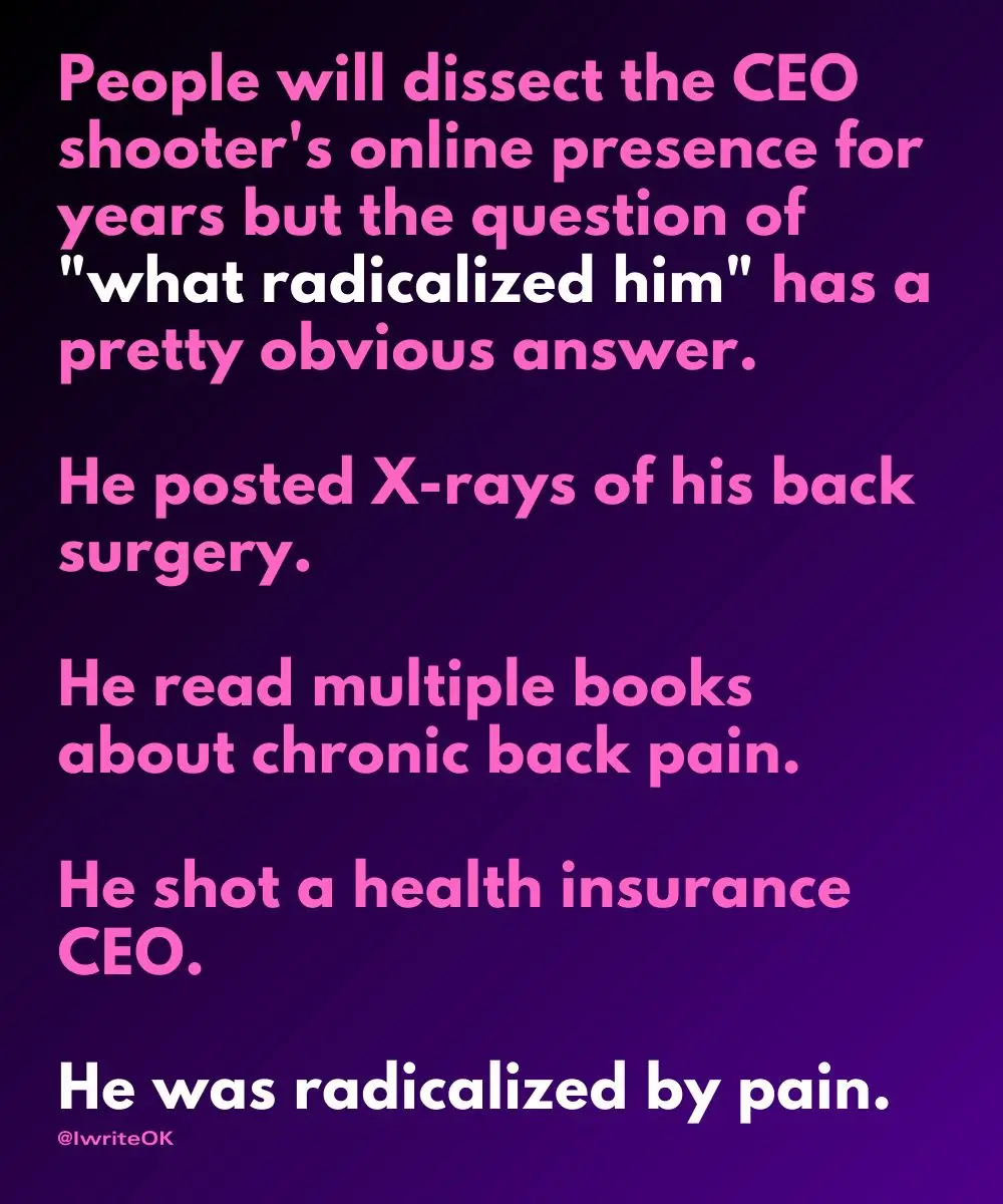 A purple background with pink and white text outlining a satirical take on a shooter's motivations, attributing his…
