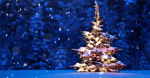 The image shows a snowy, illuminated Christmas tree in a winter forest, duplicated in six panels arranged in two rows of…