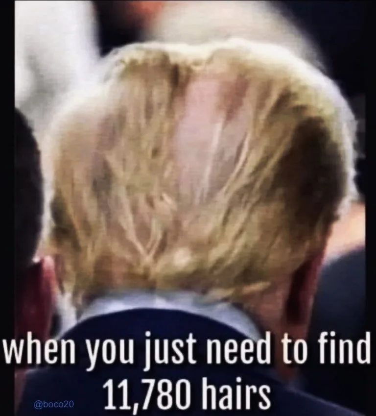 The image shows the back of a person's head with visible thinning hair and a receding hairline, overlaid with white text…
