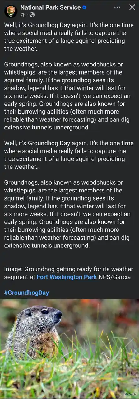 The image shows a groundhog peeking out from grass, with a National Park Service post overlaid that humorously misidentifies…