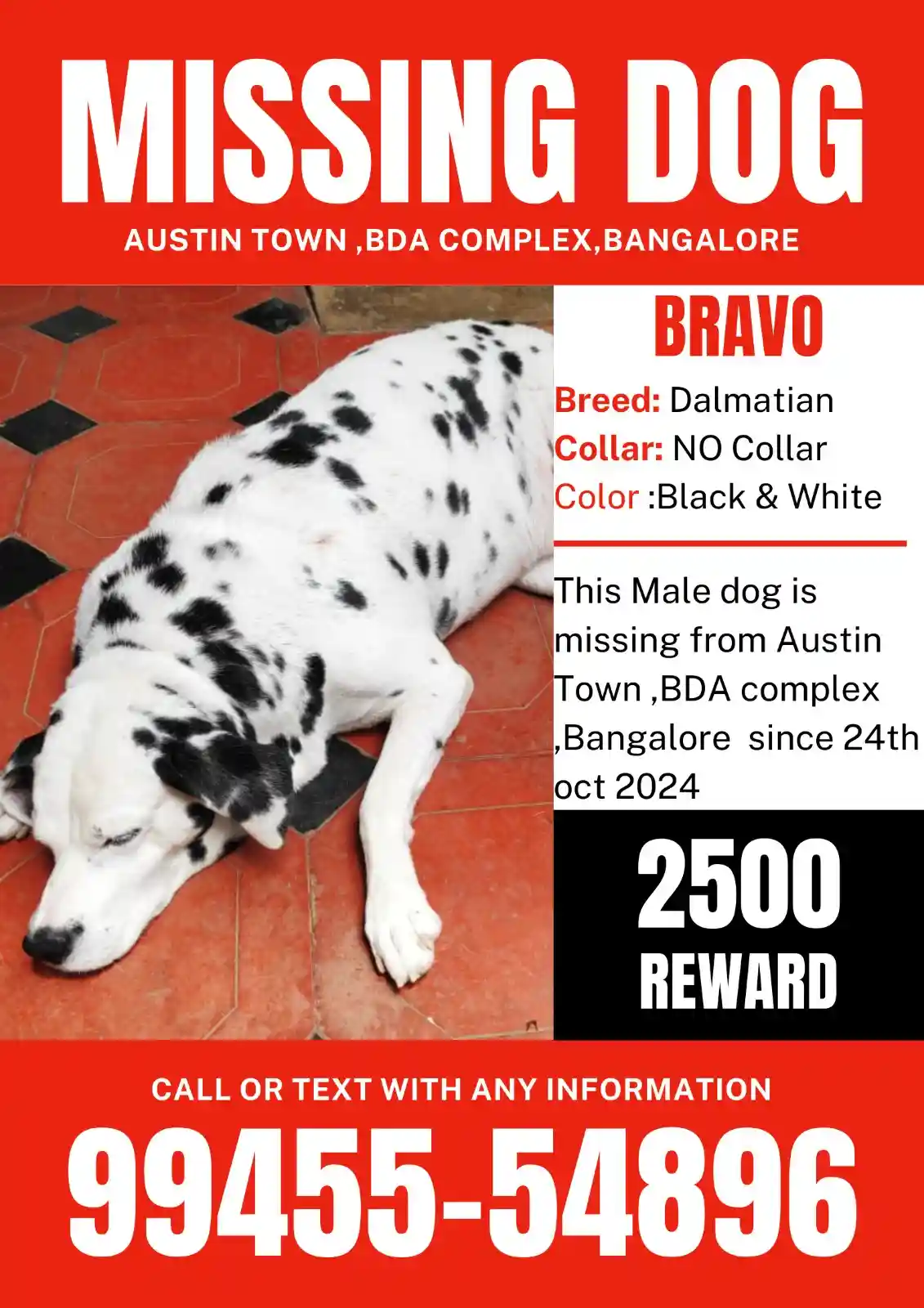 A missing dog poster features a Dalmatian named Bravo lying on a red and black tiled floor. The poster includes details like…