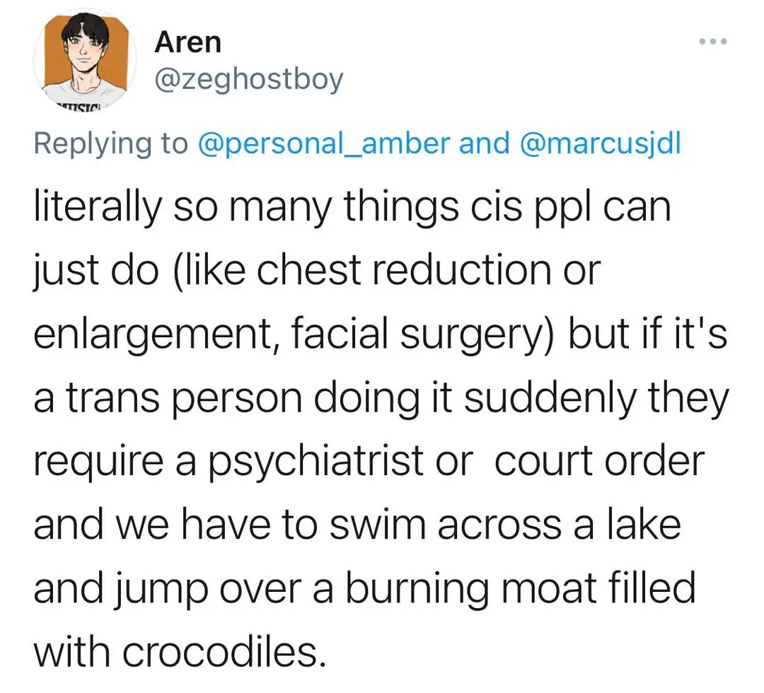 A screenshot of a tweet by user Aren (@zeghostboy) replying to two others. The tweet text criticizes the extra hurdles trans…