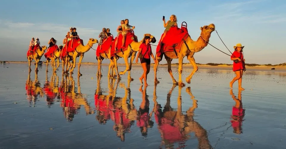 A line of camels with riders walks across a wet, reflective beach at sunset. The camels wear red blankets, and one rider in…