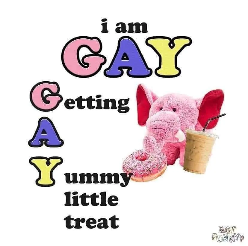 A pink plush elephant sits next to a donut and an iced coffee drink, with large colorful text spelling 'i am GAY Getting A…