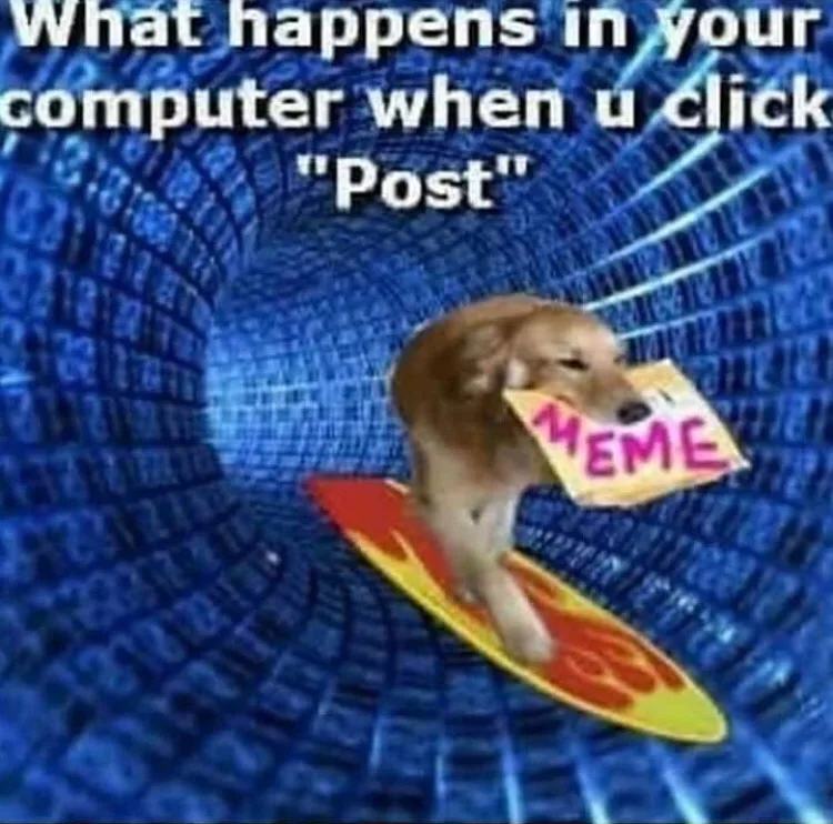 A golden retriever dog is surfing on a yellow and red surfboard down a blue digital tunnel made of binary code. The dog is…