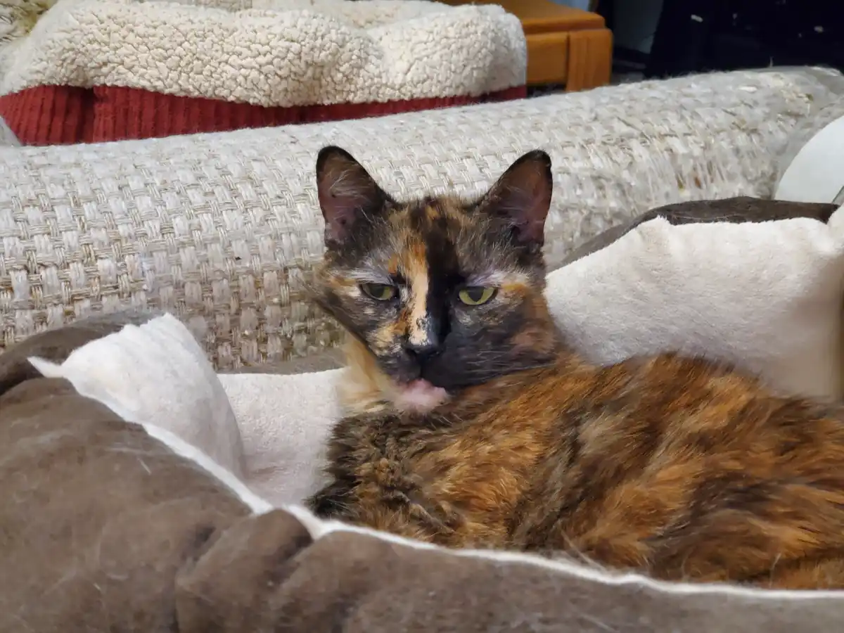 Milly, you woke up with that classic bedhead look!