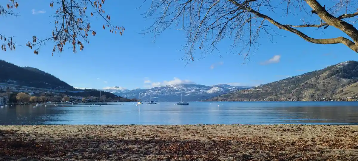 A scenic photo of a calm lake with sailboats, snow-capped mountains in the distance, and bare tree branches framing the top…