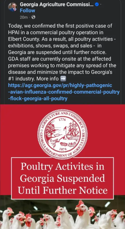 An image shows a screenshot of a Georgia Agriculture Commission tweet announcing a poultry disease outbreak, overlaid with a…