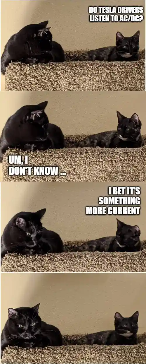 Four-panel meme featuring two black cats on a carpeted cat tree. The first panel asks if Tesla drivers listen to AC/DC. The…