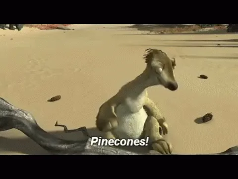 What’s the Point of Needing Acorns Anyway?