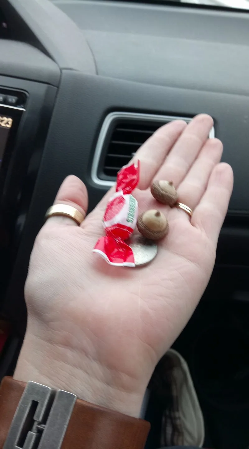 Time to Pay the Toll: Acorns Ahead!