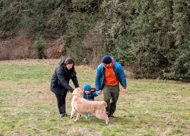 A family of three — a woman, a man, and a small child — are outdoors in a grassy field with a golden retriever. The woman…