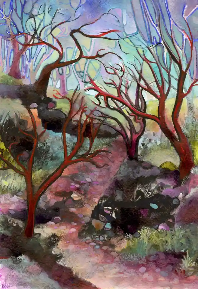 A glimpse of the Forest in December's beauty