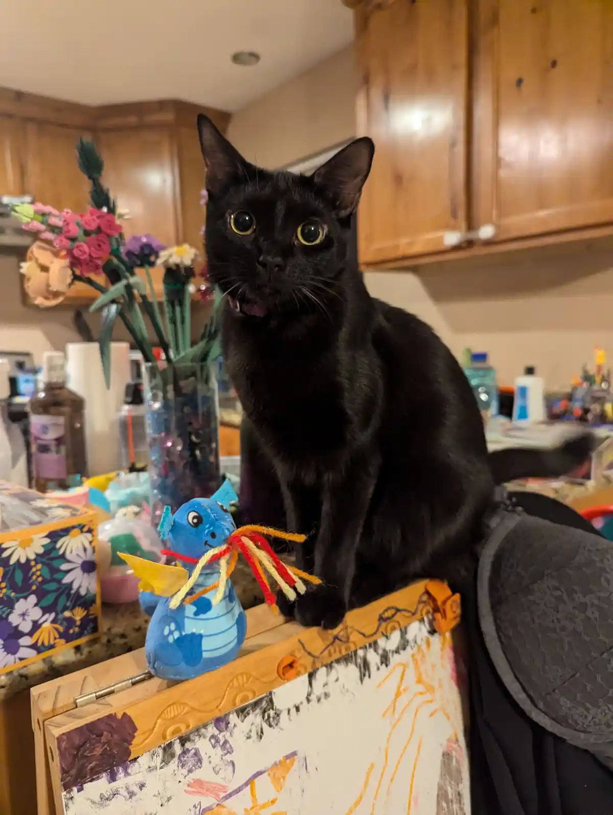 A black cat with wide, startled eyes sits upright on a cluttered kitchen counter, next to a blue dragon toy with yarn…