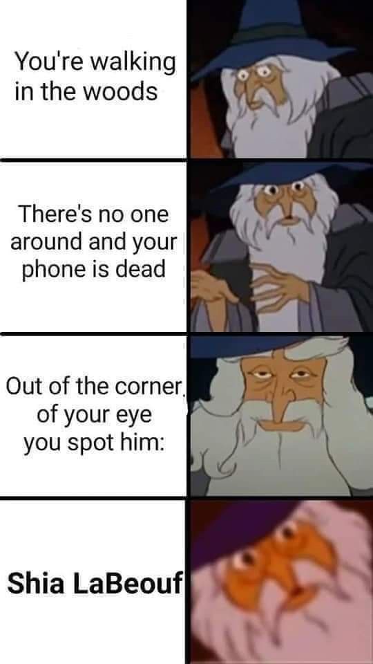 Memes swimming in a sea of selfies