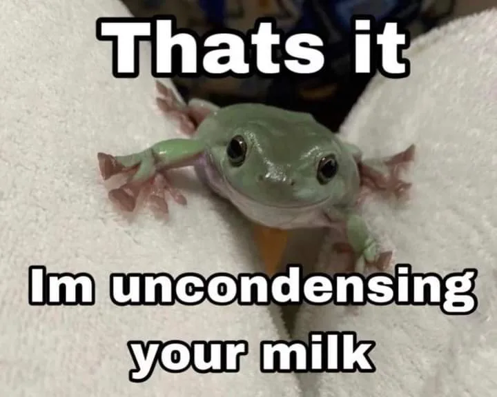 A small green tree frog with large dark eyes is perched on a white textured towel, looking directly at the camera. The image…