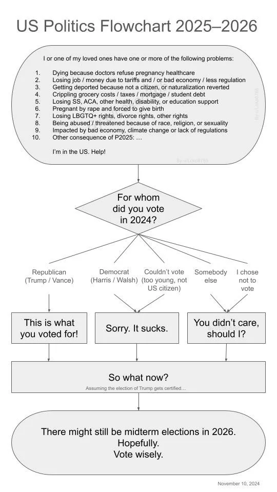 A flowchart titled 'US Politics Flowchart 2025–2026' begins with a list of 10 problems affecting Americans, leading to a…