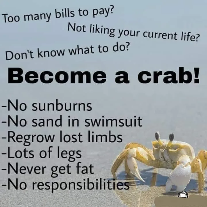 A crab stands on a sandy beach with overlaid text listing problems like bills and dissatisfaction, followed by the solution…