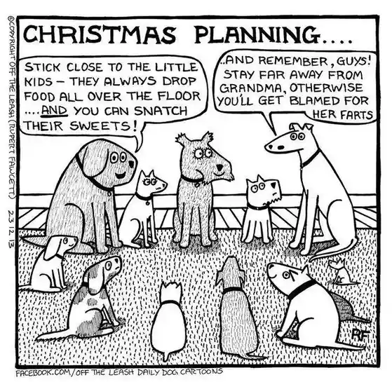 Hilarious Adventures of a Cartoon Dog