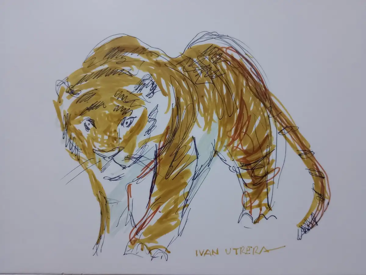 A sketch of a tiger drawn with scribbled lines and colored in with yellow, orange, and blue markers on white paper. The…