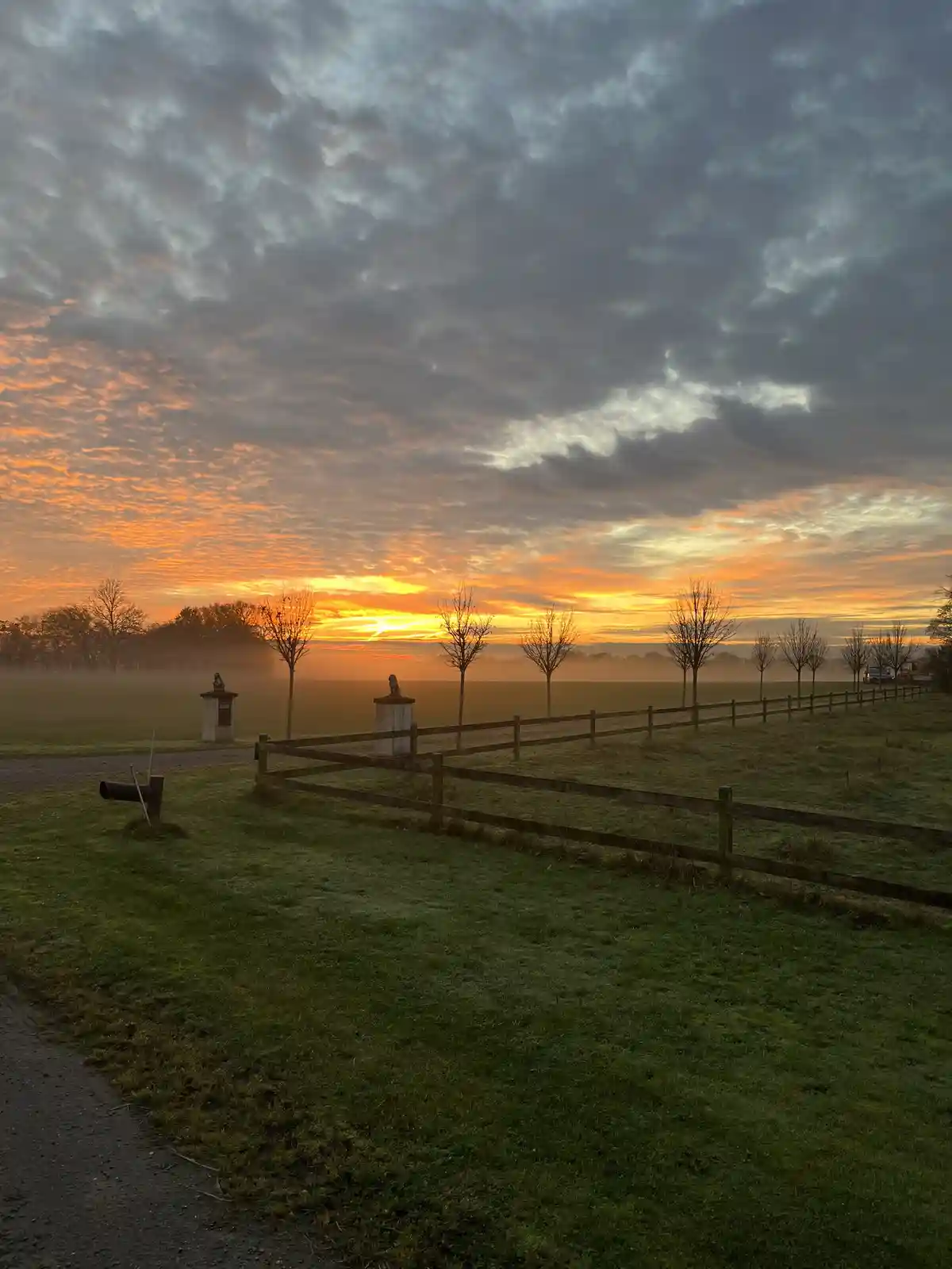 A serene rural landscape at sunrise or sunset, featuring a wooden fence running through a grassy field, bare trees in a row…