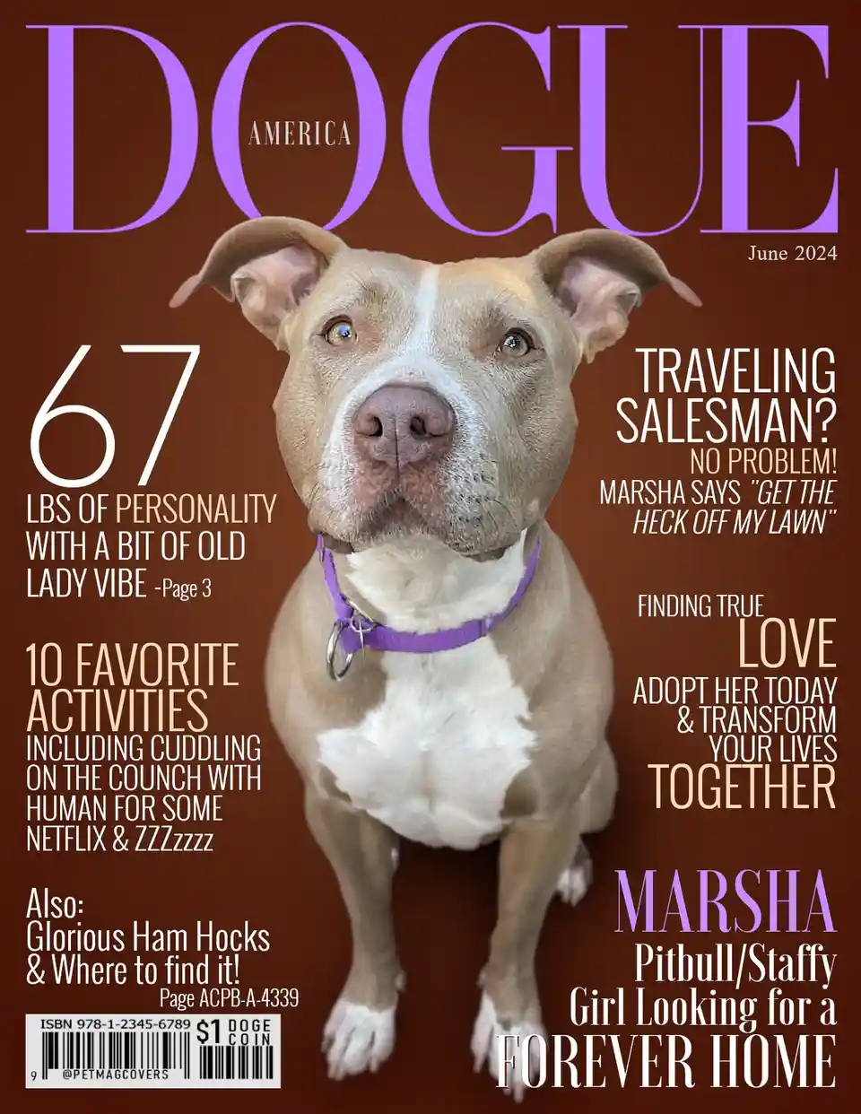 Marsha's Quest for a Loving Forever Home