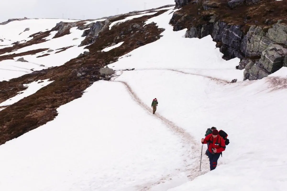 A hiker in a red jacket and beanie walks uphill on a snowy trail, looking down at their phone while holding a trekking pole…