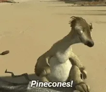 I've officially pledged my loyalty to Team PINECONE!