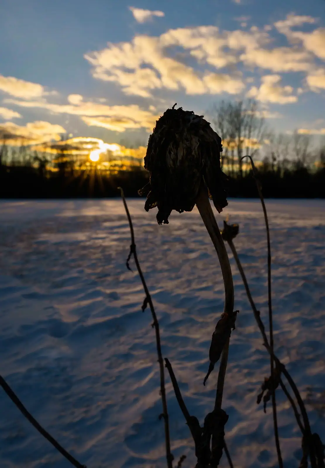 A Chilly Winter Sunset to Remember