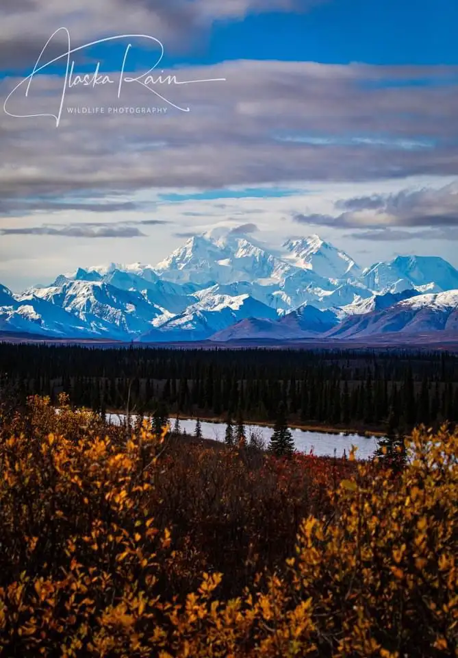 A scenic photograph of Denali (Mount McKinley) in Alaska, featuring snow-capped peaks under a partly cloudy sky, a winding…