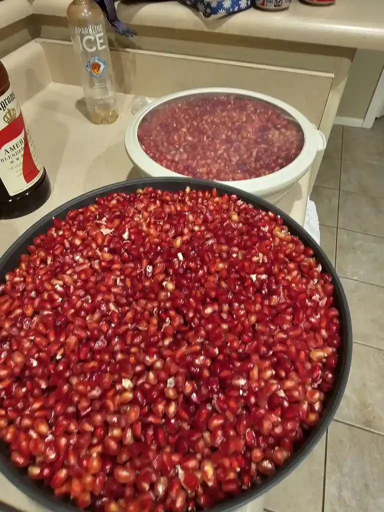 A kitchen counter holds two large containers overflowing with freshly pomegranate seeds, one in a black pan in the…