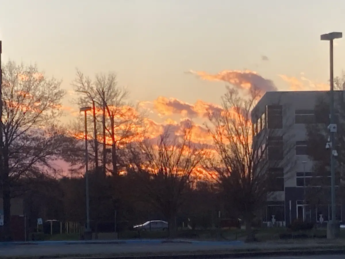 A photograph of a sunset with orange and pink clouds behind bare trees and a building, overlaid with the text 'i'm not…