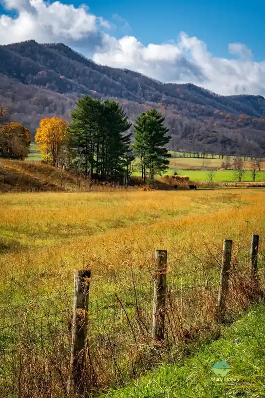 Exploring the Charm of Tazewell County, Virginia