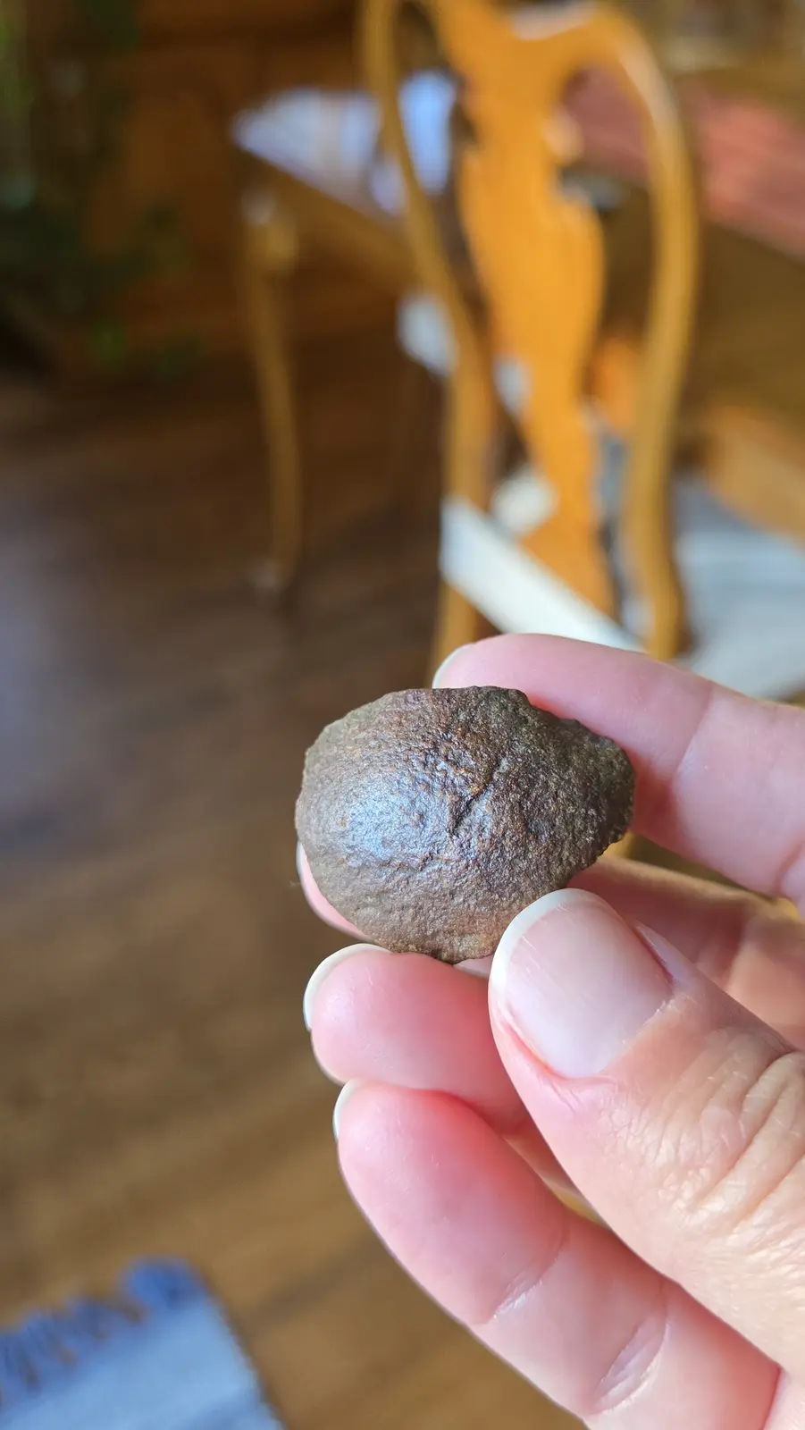 A hand holds a small, rough, brownish rock with a distinct crack running through it, resembling a face. The background is…
