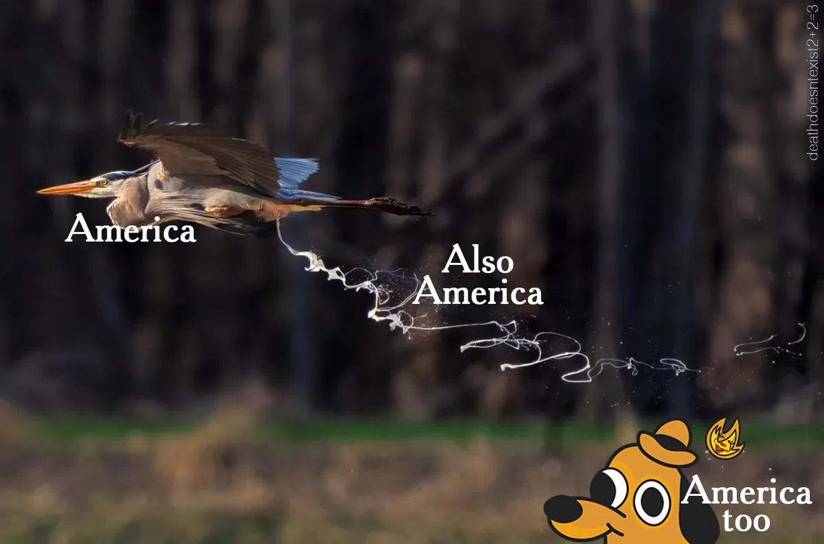 A photograph of a grey heron in flight against a blurred forest background, with white text overlaid: 'America' near the…