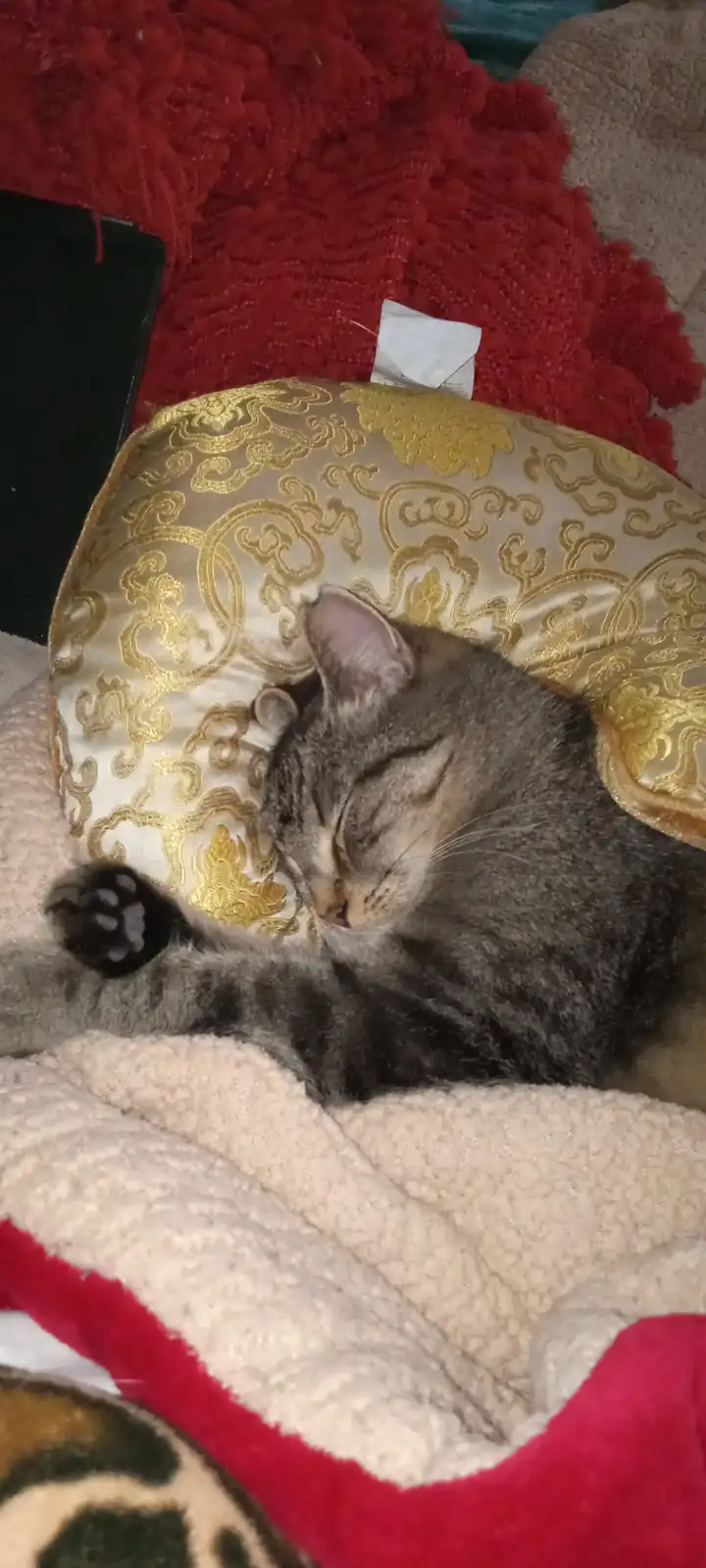 Goodnight Wishes from Me to You