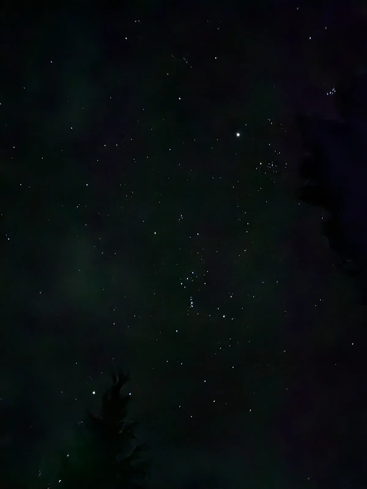Captivating Night Sky Photography