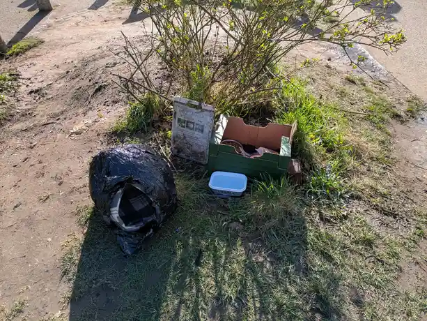 An outdoor scene shows a makeshift shelter for a cat, consisting of a black plastic bag with a plaid blanket inside, next to…