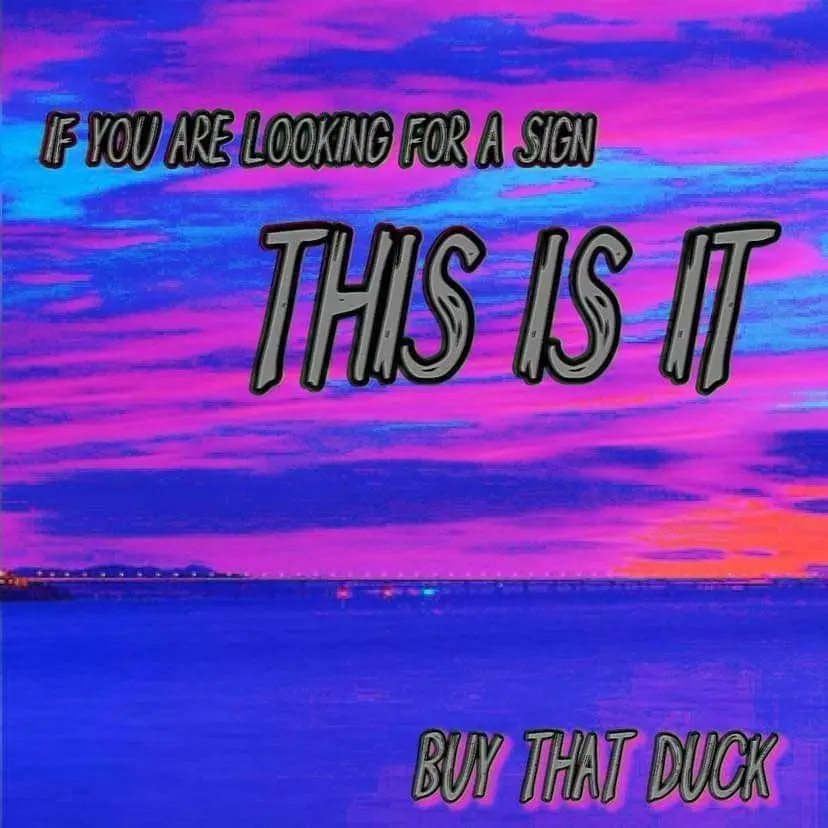 Memes Compilation Volume 435: The Good Stuff