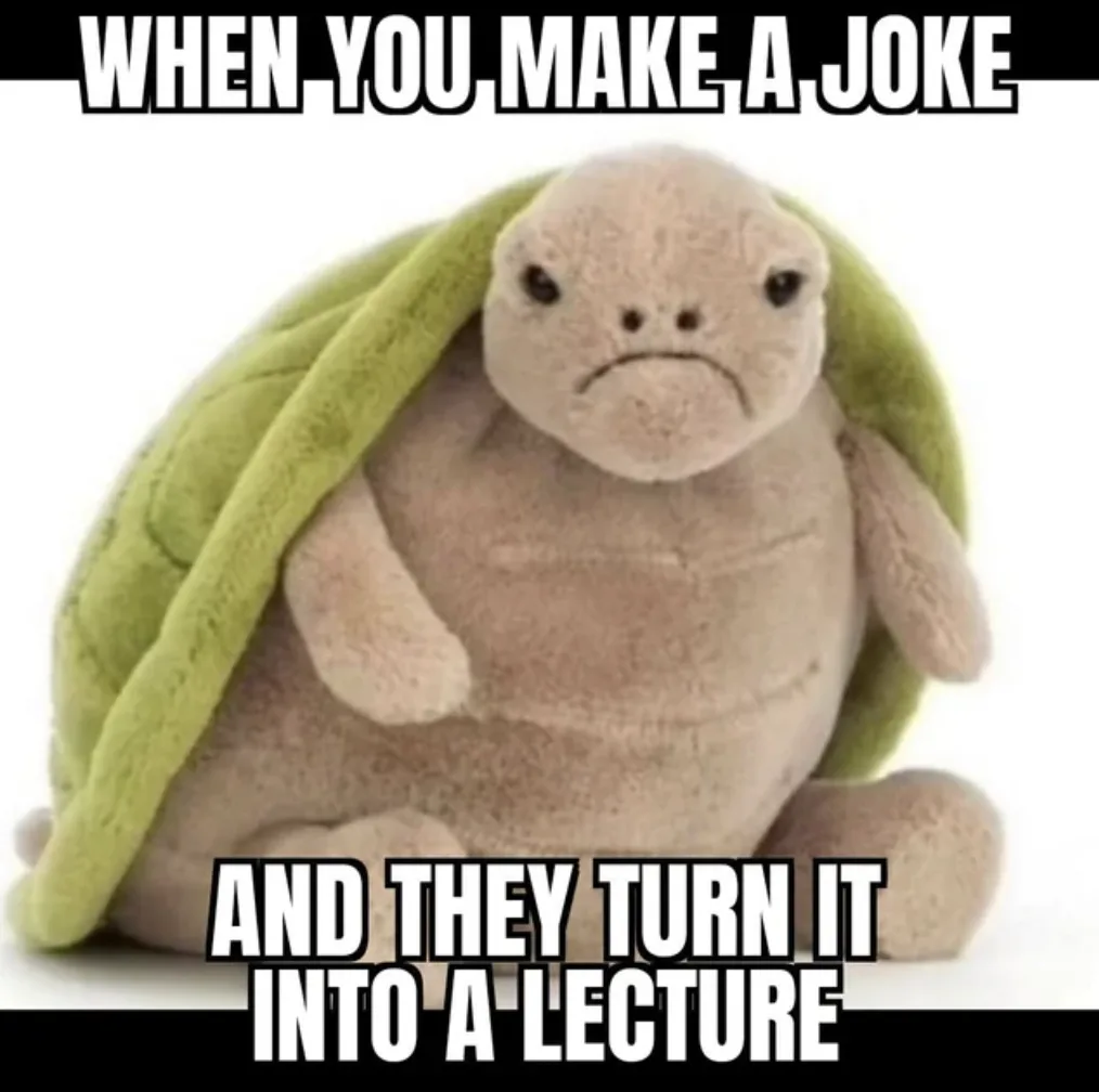 A plush turtle with a visibly annoyed or frustrated expression, sitting upright with its green shell partially visible. The…