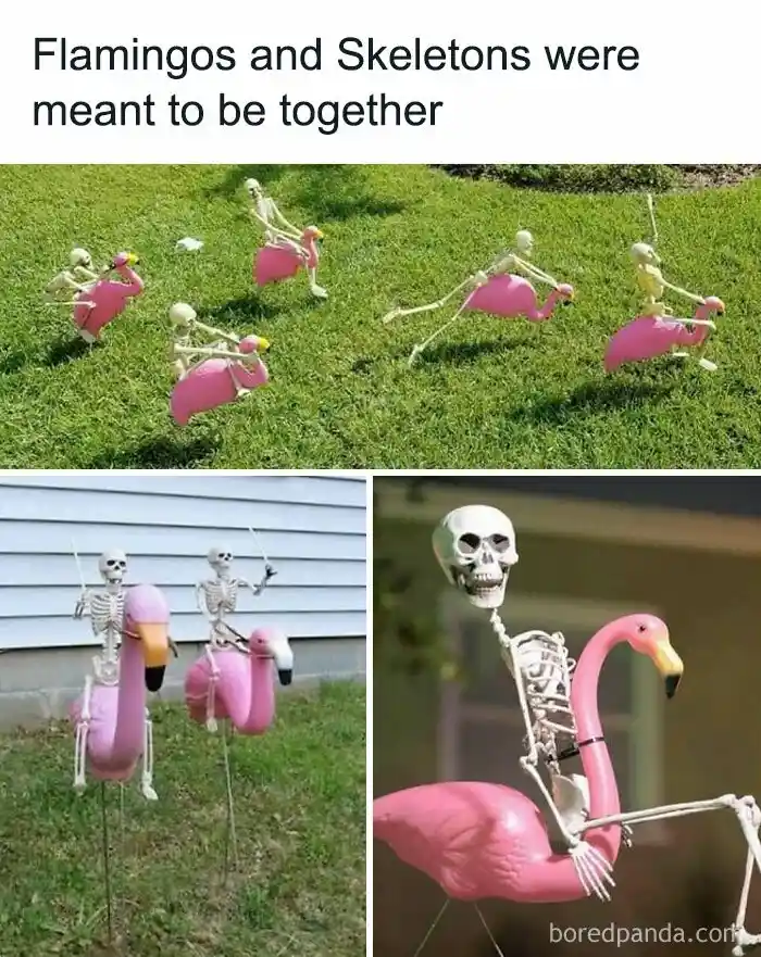 The image is a three-panel collage showing skeletons mounted on pink plastic flamingo lawn ornaments. The top panel shows…