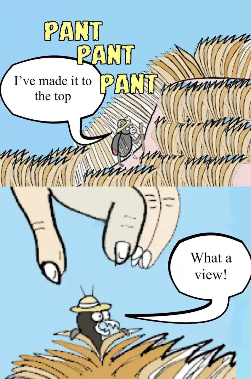 A cartoon beetle wearing a hat and glasses climbs a giant, fluffy, tan-colored hair strand, panting heavily as it reaches…