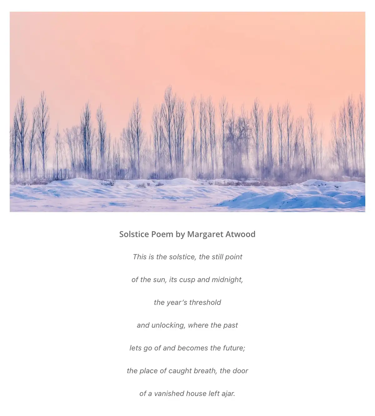 A serene winter landscape photo shows snow-covered ground with bare trees silhouetted against a soft pink and purple sky…
