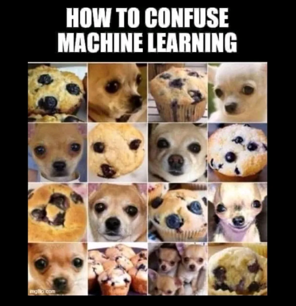 A grid of 16 images shows alternating close-ups of small chihuahua dogs and blueberry muffins, visually demonstrating how…
