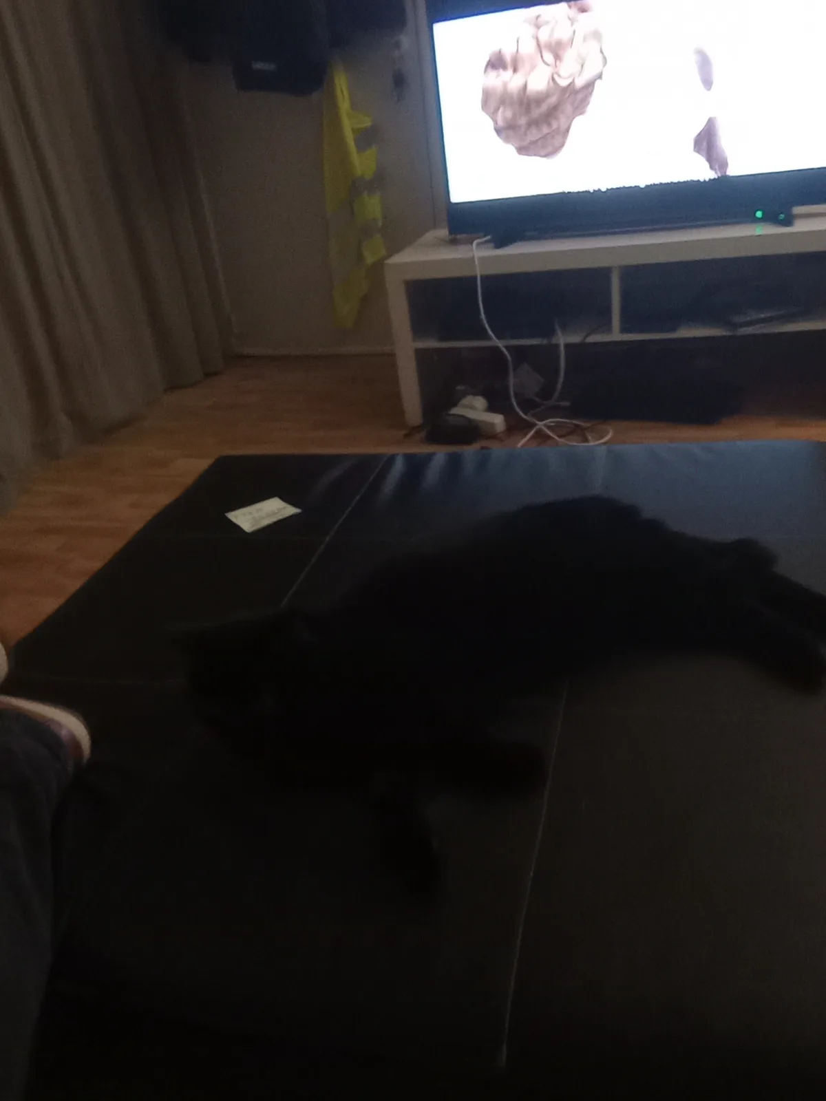 Adorable Void of Cuteness