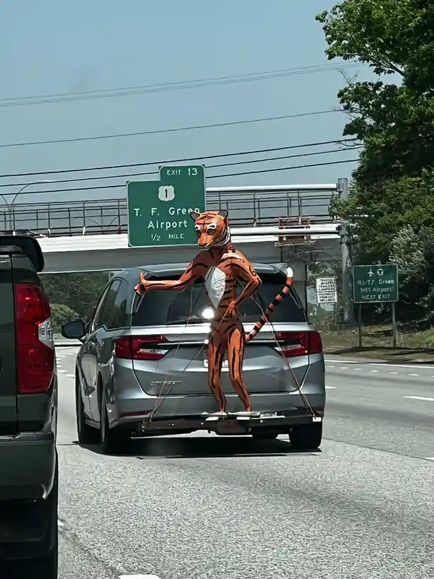 A large, orange and black striped tiger costume stands upright on the hitch of a silver SUV driving on a highway. Overhead…