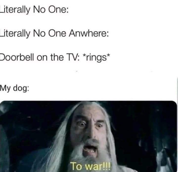 The image shows a still of Gandalf the White from 'The Lord of the Rings' with a shocked, yelling expression. Overlaid text…