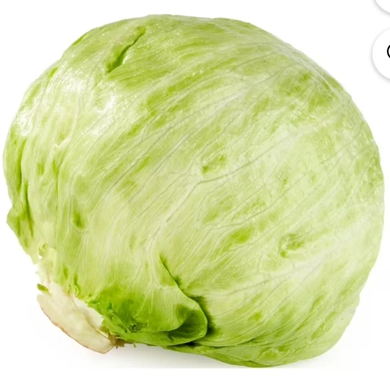 A close-up of a whole, round green cabbage with visible leaf layers and a white base, set against a plain white background…