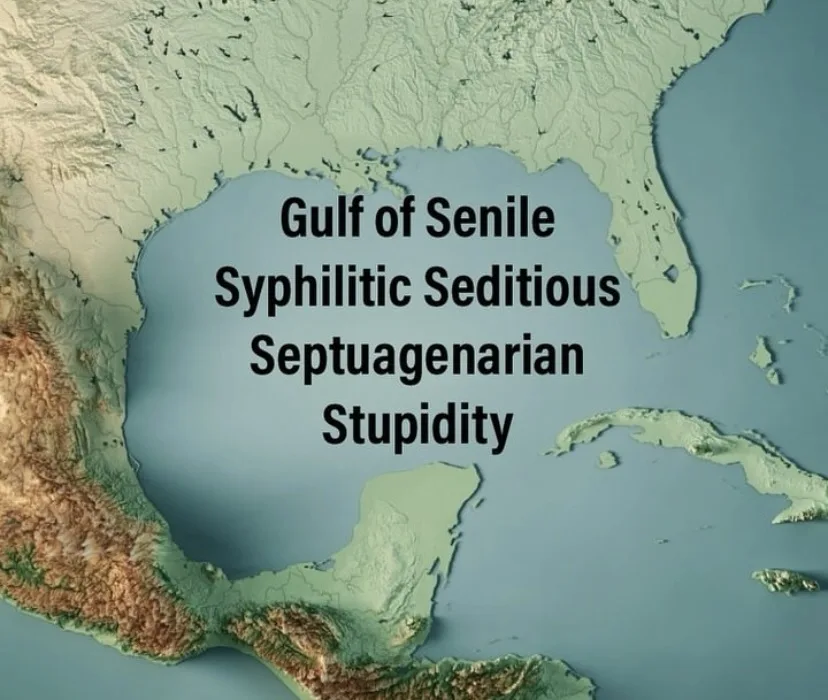 A 3D topographical map of the Gulf of Mexico with overlaid text reading 'Gulf of Senile Syphilitic Seditious Septuagenarian…